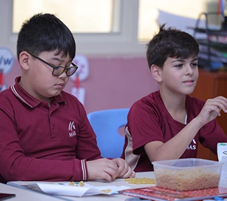 Manthena American School