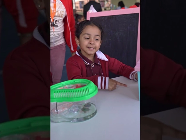 Surah Al-Anbiya Recitation